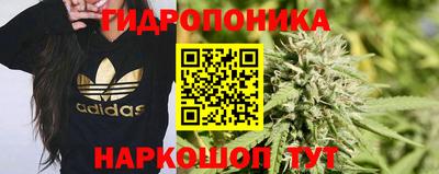 ALPHA-PVP Кунгур