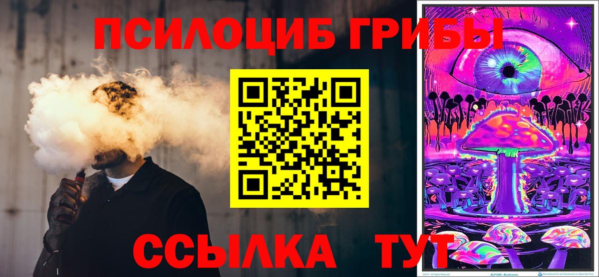Псилоцибиновые грибы Psilocybine cubensis Воскресенск