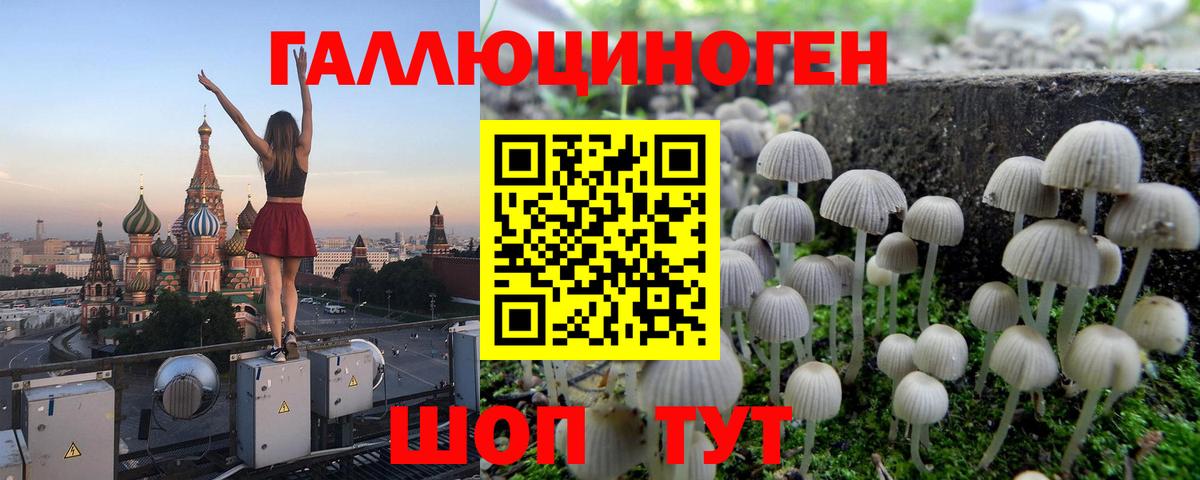 Галлюциногенные грибы Psilocybe  Вход с VPN  что такое   Воскресенск 